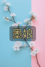 墨娘封面
