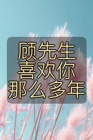 顾先生喜欢你那么多年封面